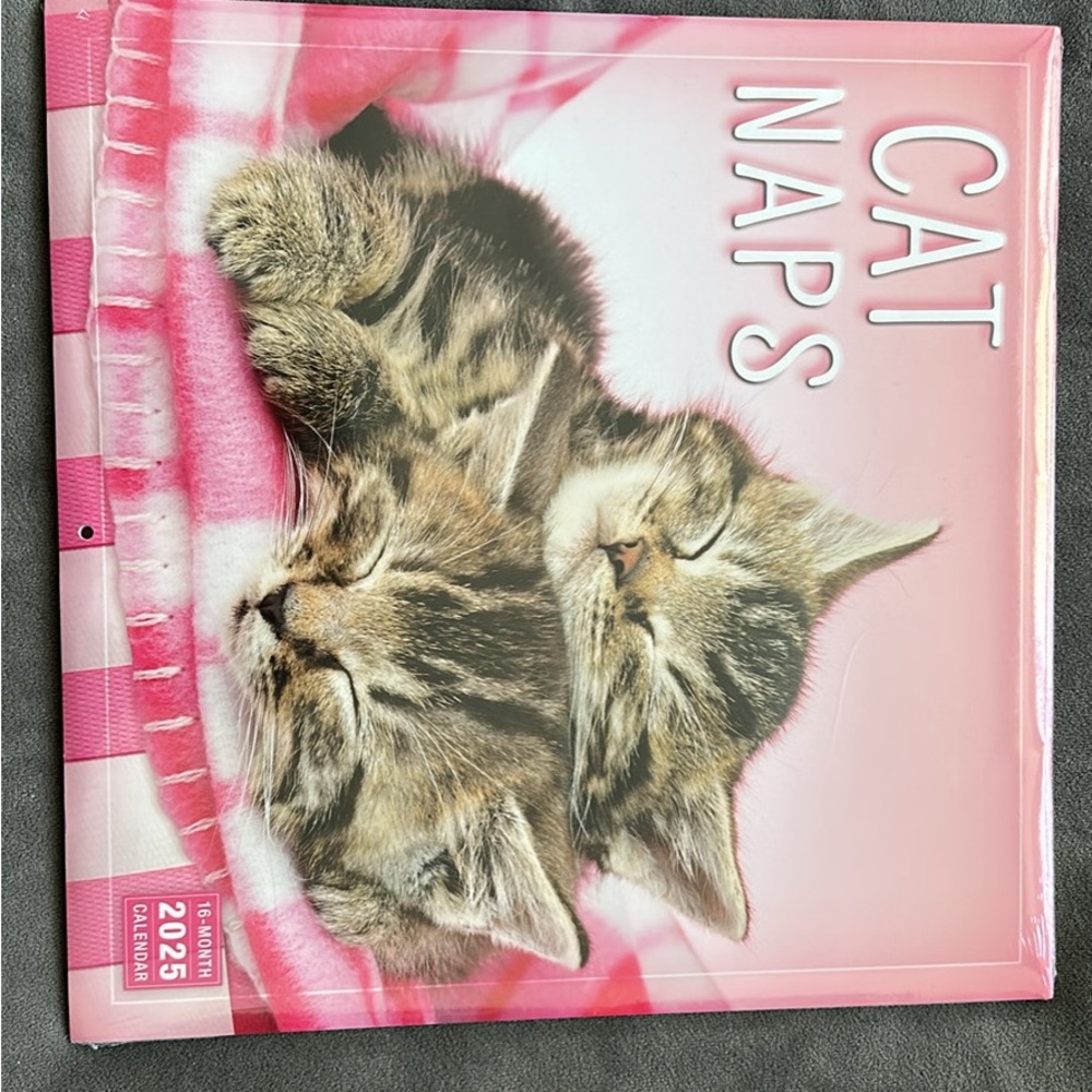 Cat Naps Pink Calendar